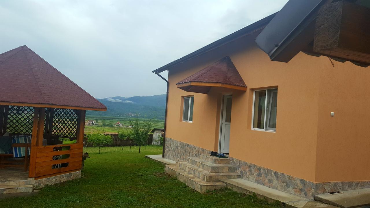 Casa De Vacanta Laurentiu Calimanesti Exterior photo