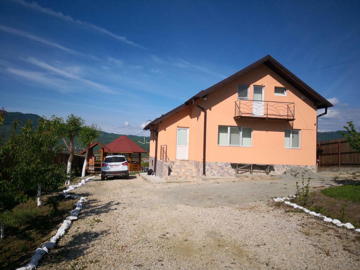 Casa De Vacanta Laurentiu Calimanesti Exterior photo